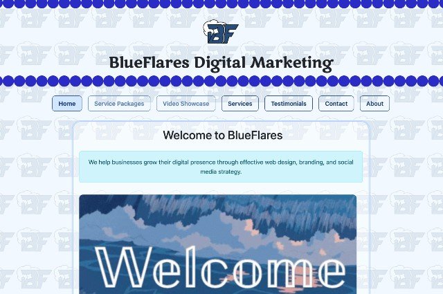 Screenshot of BlueFlares marketing demo site